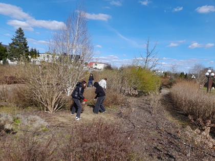 Obrazy newsów: c4.jpg Obrazy newsów: c4.jpg