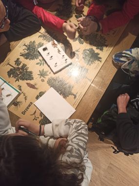Lekcja w Technikum Leśnym